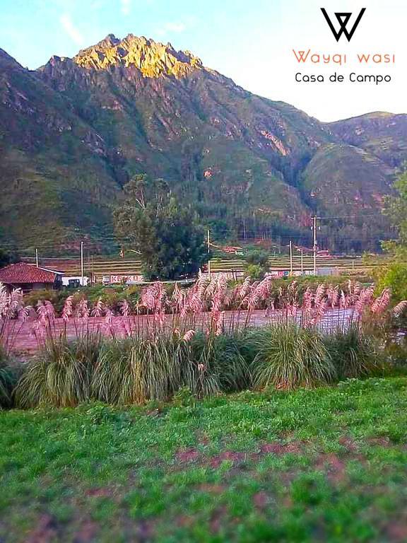 Wayqi Wasi Vendégház Pisac Kültér fotó