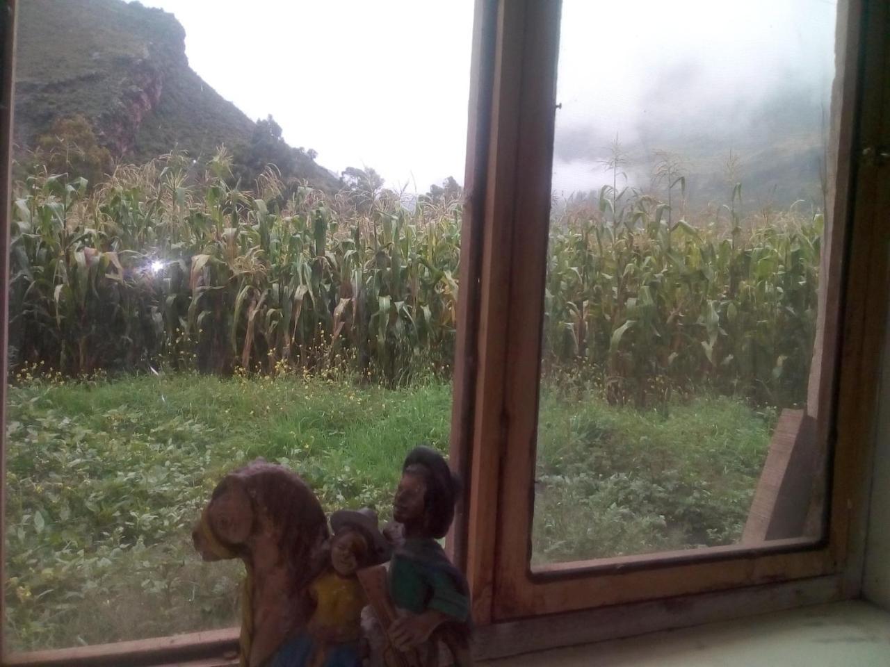Wayqi Wasi Vendégház Pisac Kültér fotó